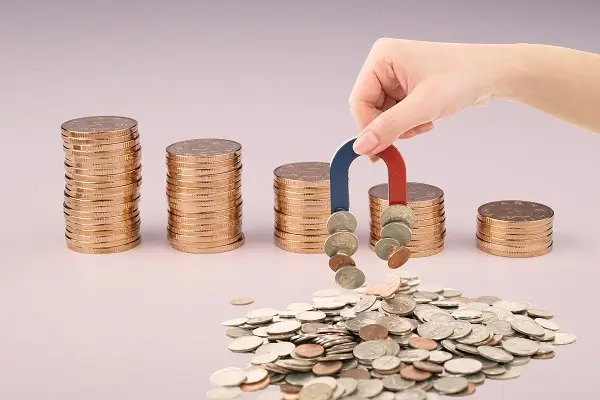 国外美食鱼排做法