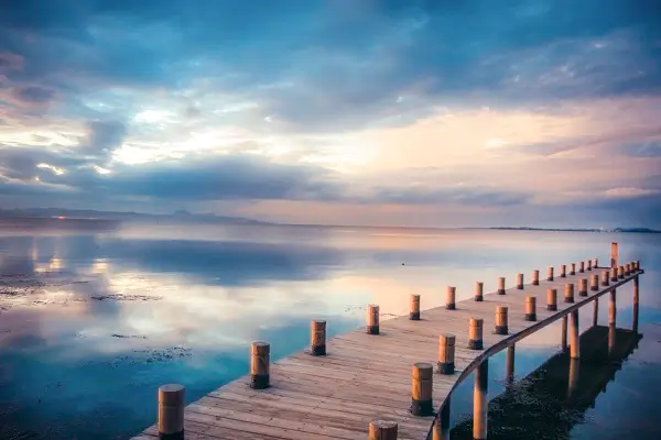 皮皮美食茄子做法