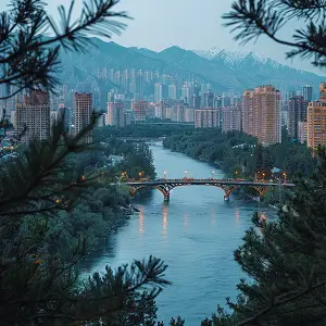 冬瓜鸭美食做法