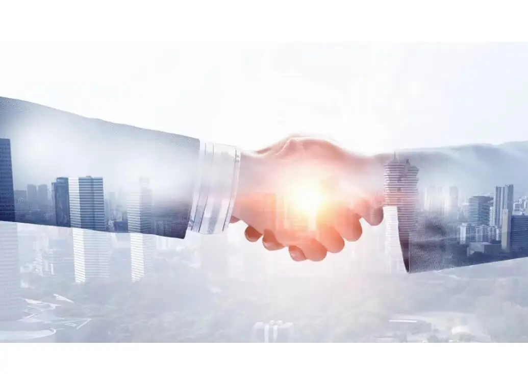 美食草菇的做法