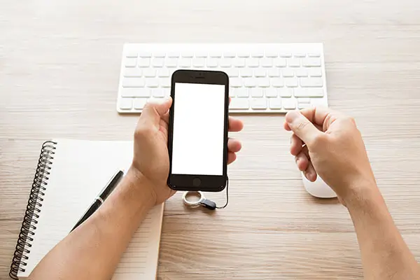 保山土鸡美食做法